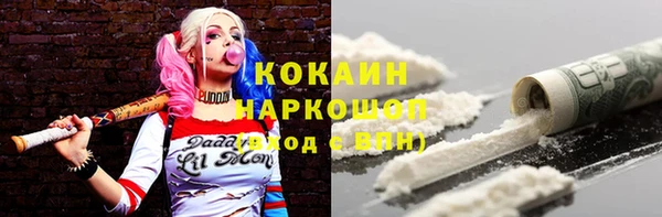 шишки Иннополис