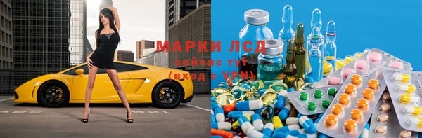 сатива Инта