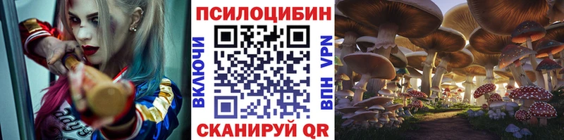 Купить где  Закаменск  Псилоцибиновые грибы Psilocybine cubensis 